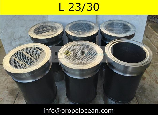 MAN B&W L 23/30 Diesel Generator Spare Parts (16)
